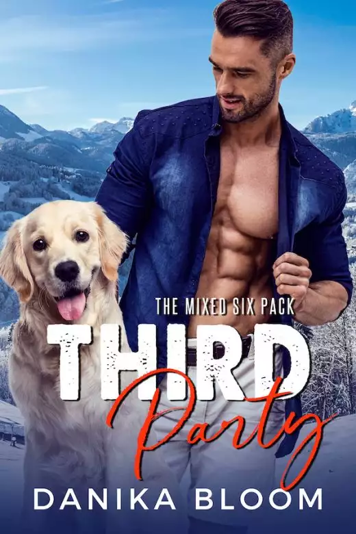 Third Party: A second-chance, Christmas romance